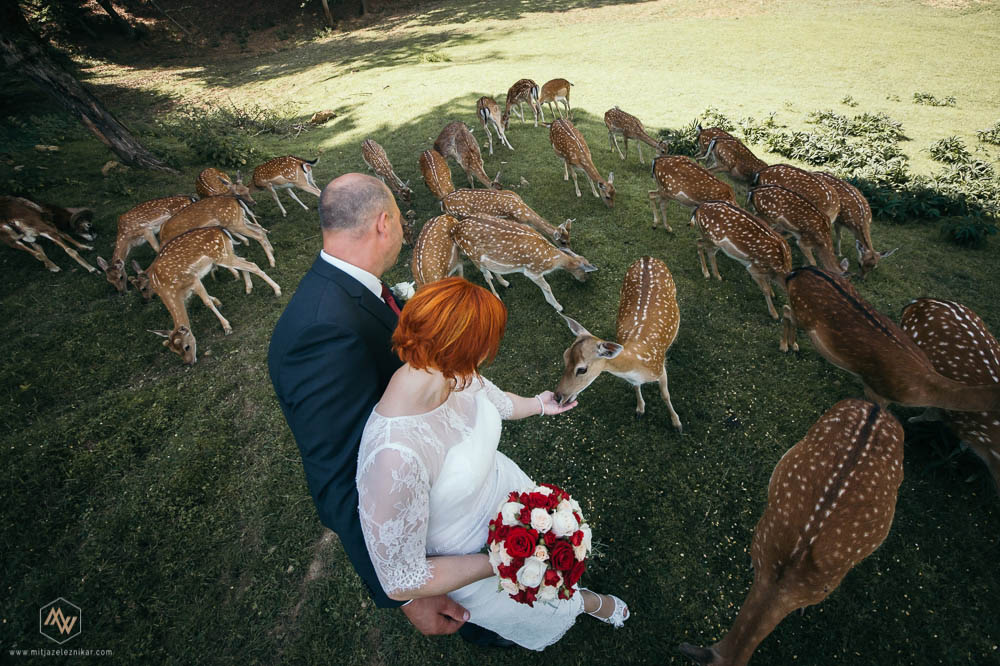 Fotografiranje poroke Jelenov Greben - Olimje