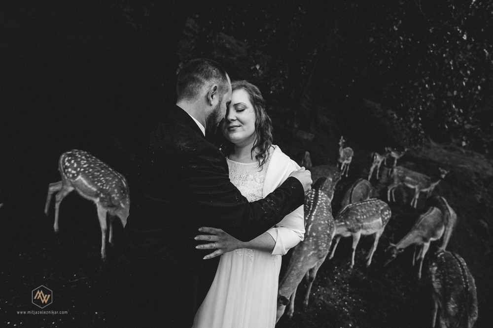 Fotografiranje poroke Olimje Jelenov Greben